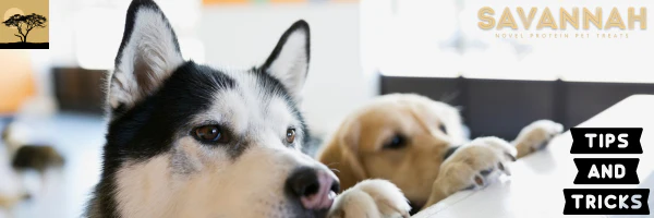 Pure Ostrich, Peak Vitality